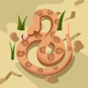 Meet your Posher, Miranda